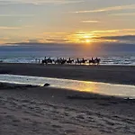 Lejlighed By The Sea In Belgium With Access