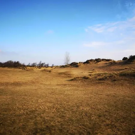 By The Sea In Belgium With Access *