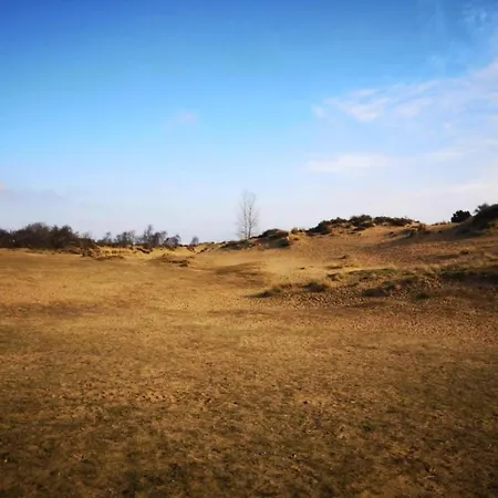 By The Sea In Belgium With Access