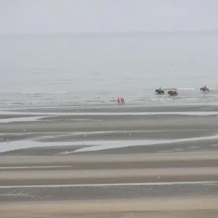 Appartement By The Sea In Belgium With Access *