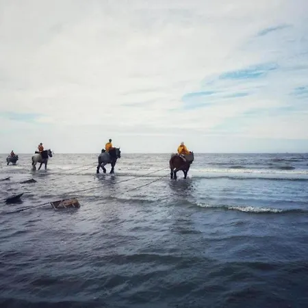 By The Sea In Belgium With Access Διαμέρισμα