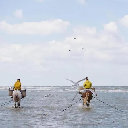 By The Sea In Belgium With Access Διαμέρισμα *