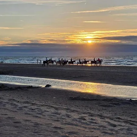 By The Sea In Belgium With Access