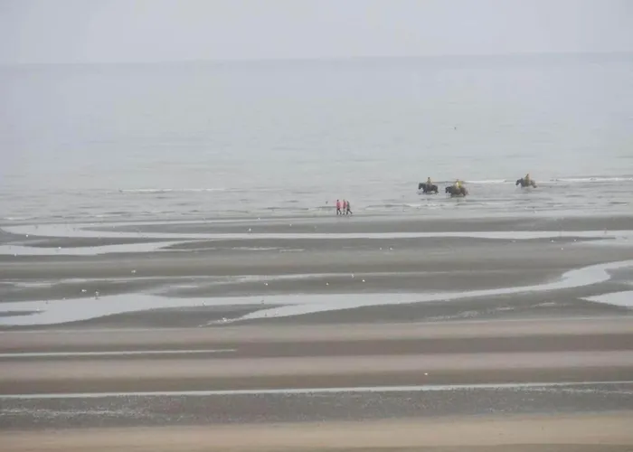 By The Sea In Belgium With Access *