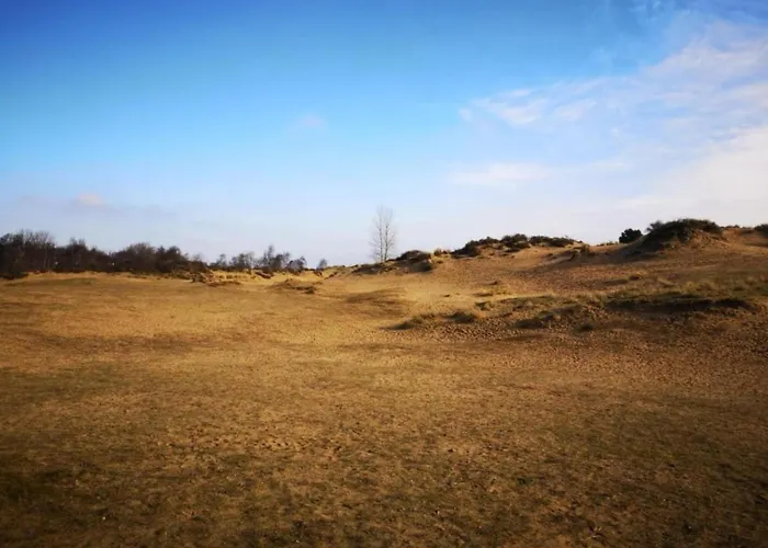 By The Sea In Belgium With Access *