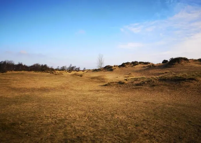 By The Sea In Belgium With Access
