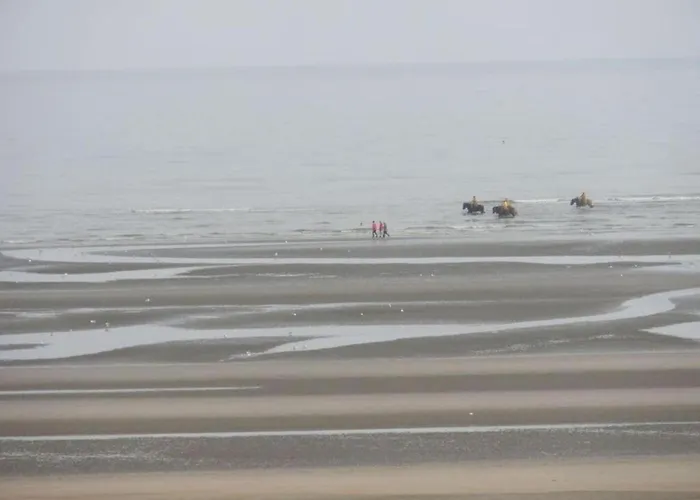 Appartamento By The Sea In Belgium With Access *