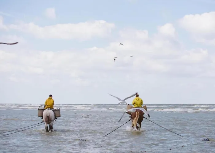 By The Sea In Belgium With Access Appartamento *