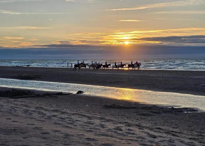 By The Sea In Belgium With Access
